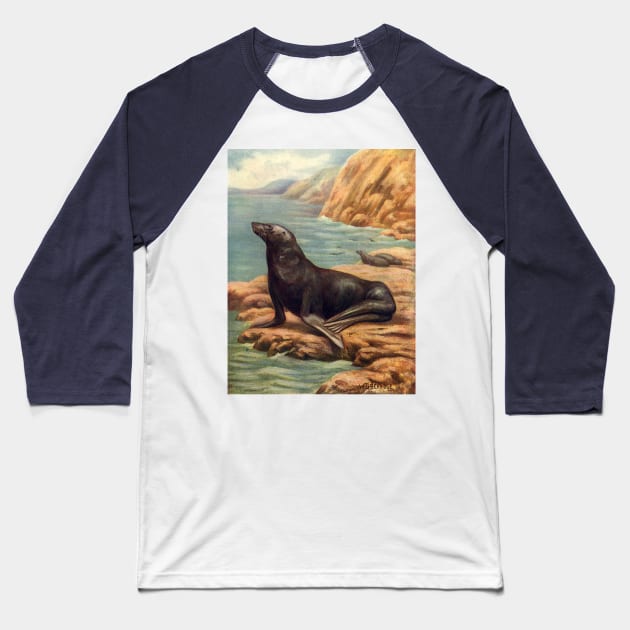 California Sea Lion Baseball T-Shirt by MasterpieceCafe